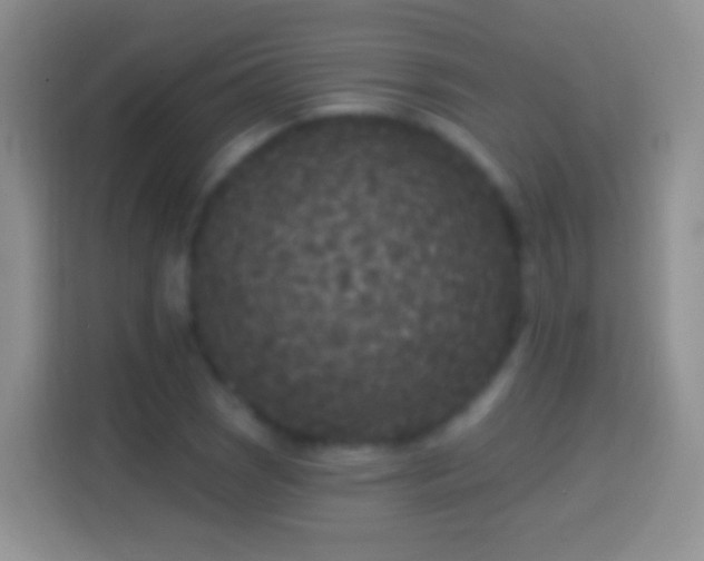 X0000114441121200910231313