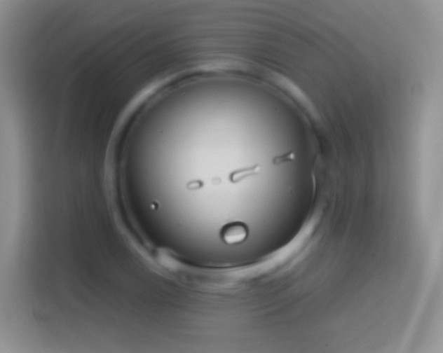 X0000114441122200910231313