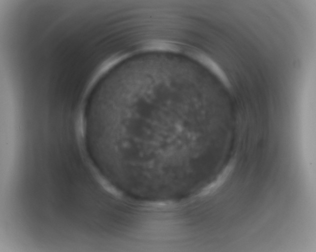 X0000114441125200910231313