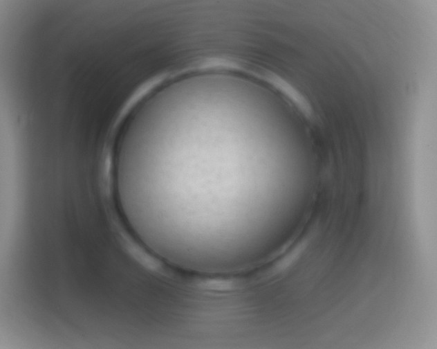 X0000114441126200910231313