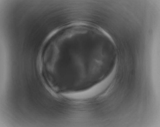 X0000114441127200910231313