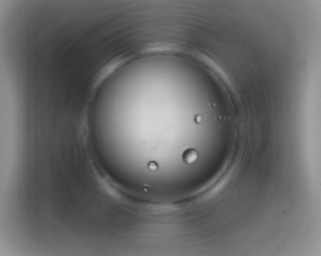 X0000114441129200910231313