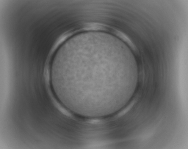 X0000114441130200910231313