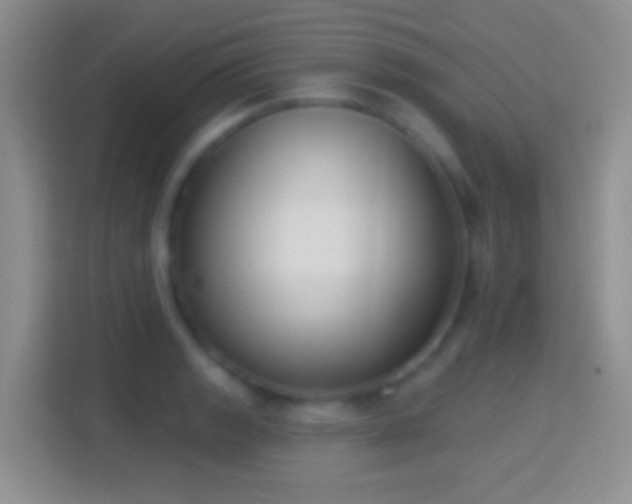 X0000114441133200910231313