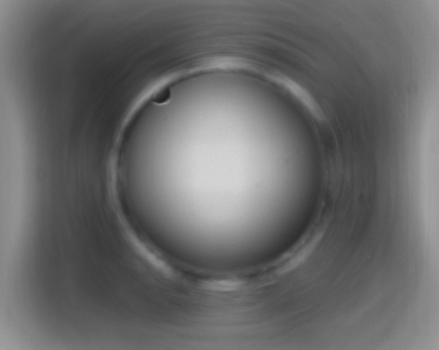 X0000114441134200910231313