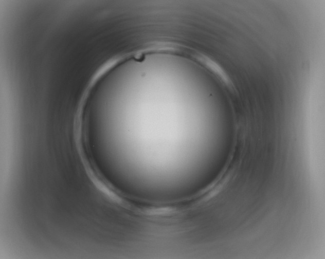 X0000114441135200910231313