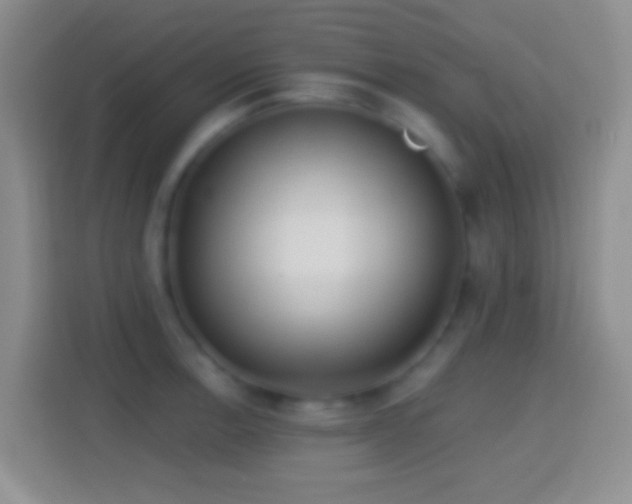 X0000114441138200910231313