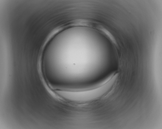 X0000114441139200910231313