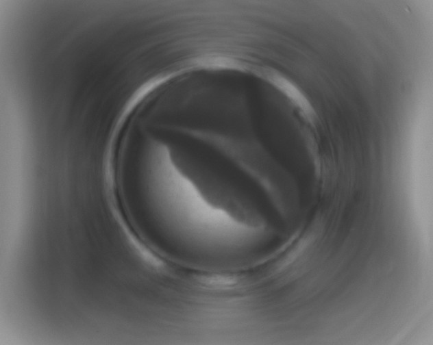 X0000114441141200910231313