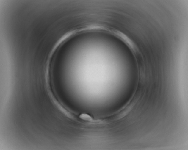 X0000114441142200910231313