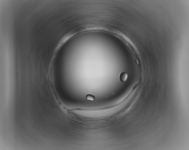 X0000114441145200910231313