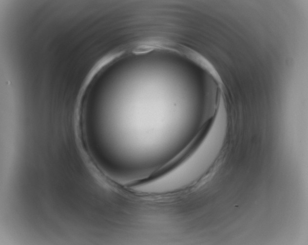 X0000114441146200910231313