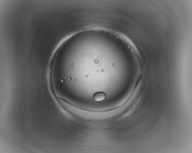 X0000114441149200910231313