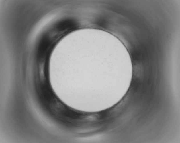 X0000114441150200910231313