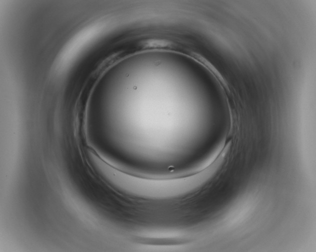 X0000114441151200910231313