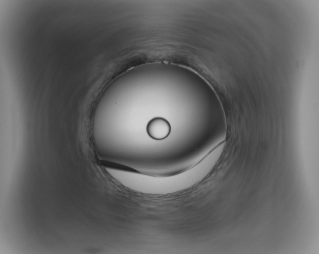 X0000114441153200910231312