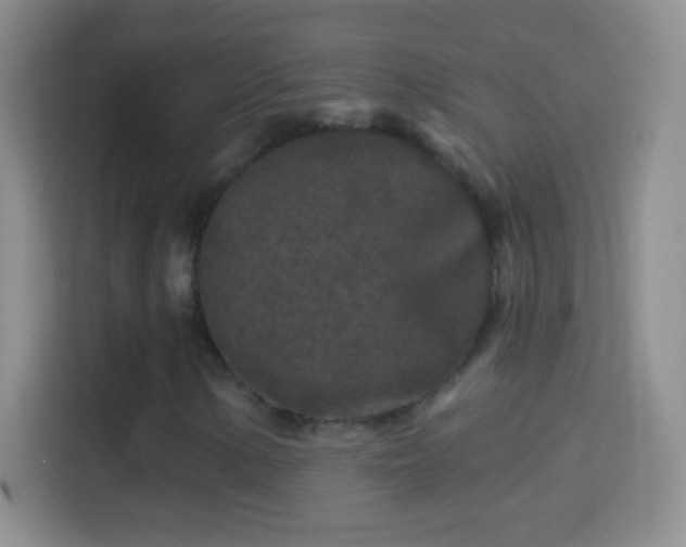 X0000114441154200910231312