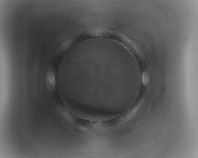 X0000114441155200910231312