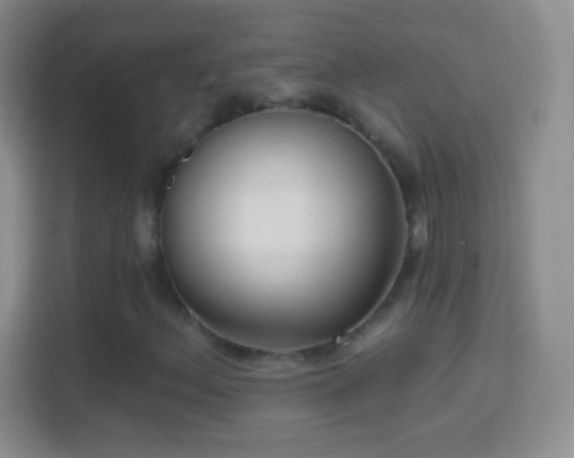 X0000114441156200910231312