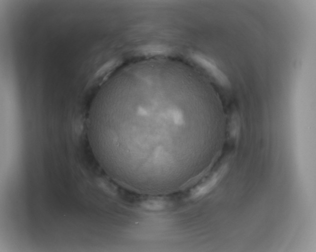 X0000114441157200910231312