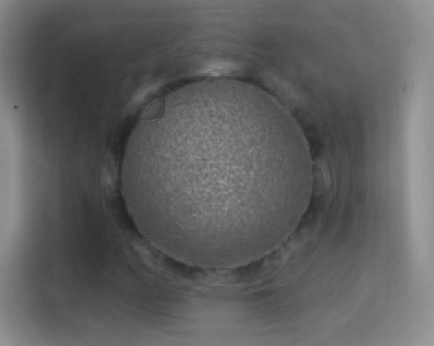 X0000114441158200910231312