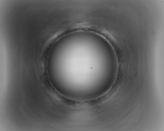 X0000114441159200910231312