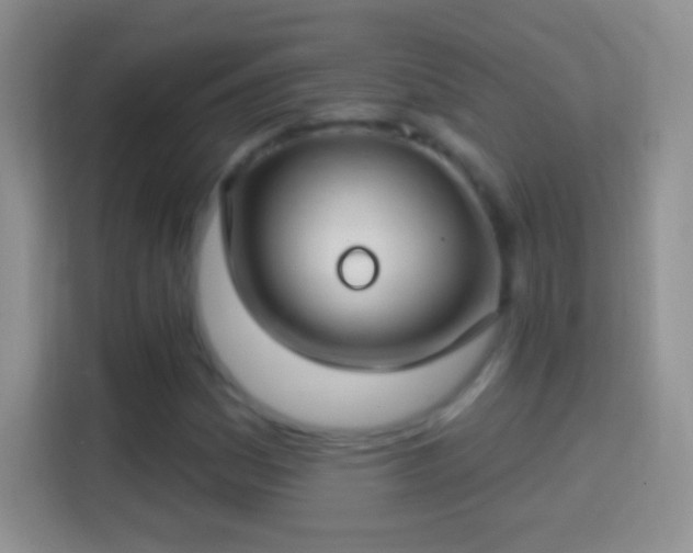 X0000114441161200910231312