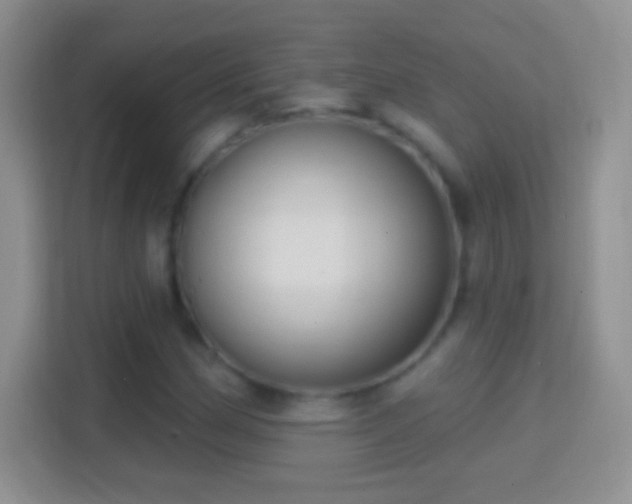 X0000114441162200910231312