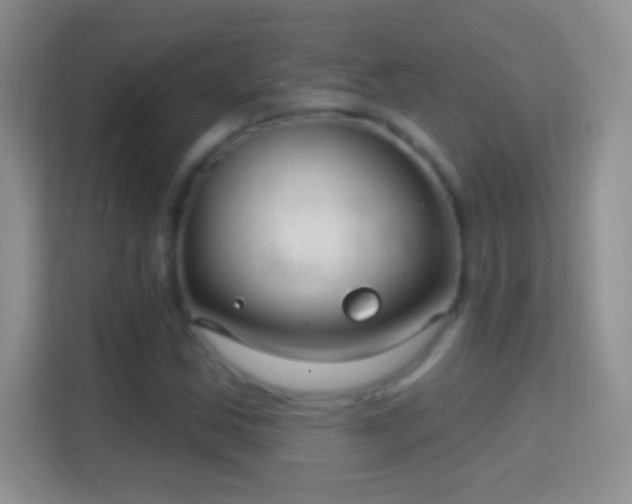 X0000114441163200910231312