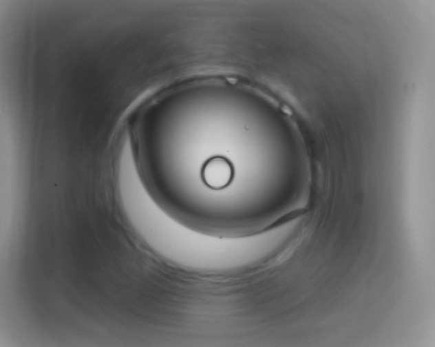 X0000114441165200910231312