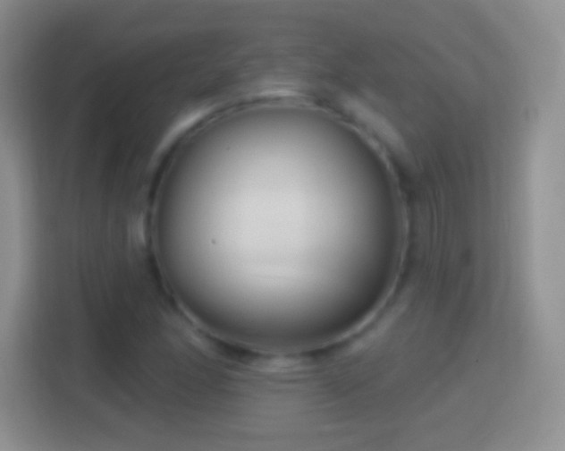 X0000114441166200910231312