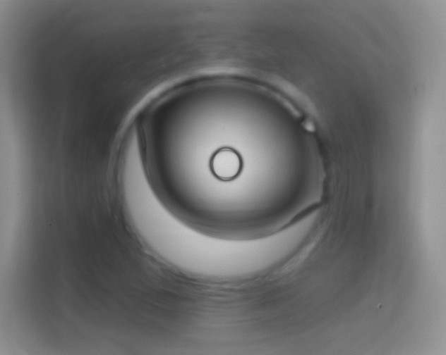 X0000114441167200910231312