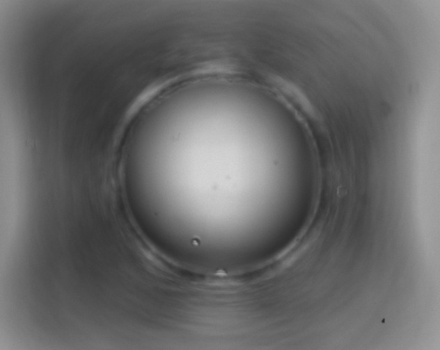 X0000114441168200910231312