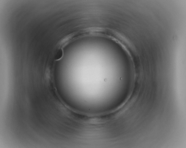 X0000114441169200910231312