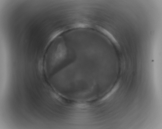 X0000114441170200910231312