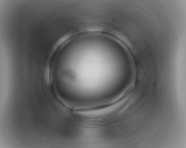 X0000114441171200910231312