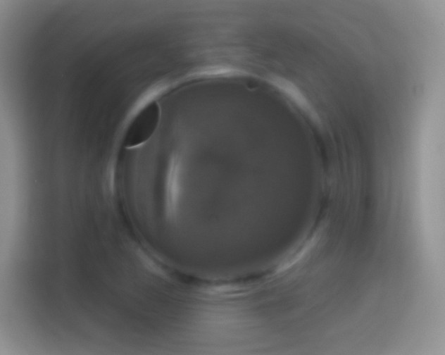 X0000114441173200910231312