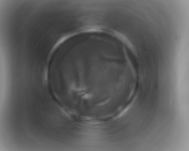 X0000114441174200910231312