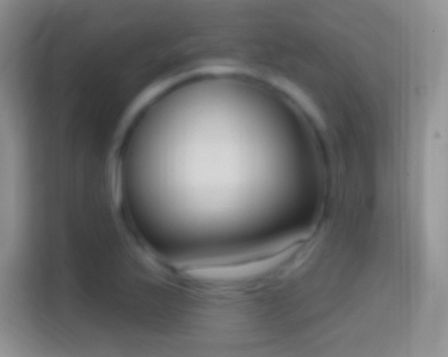 X0000114441175200910231312