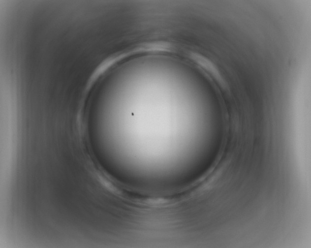 X0000114441176200910231312