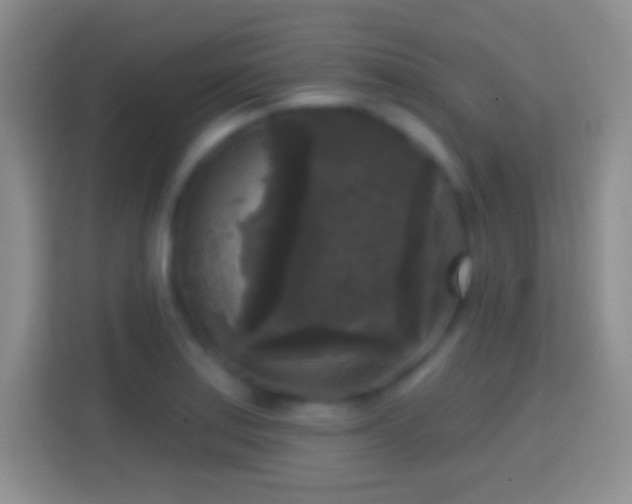 X0000114441179200910231312