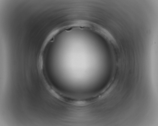 X0000114441180200910231312