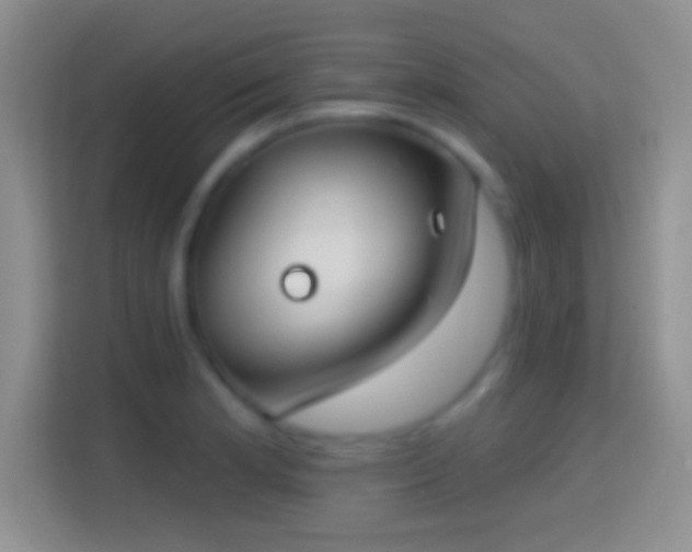 X0000114441181200910231312