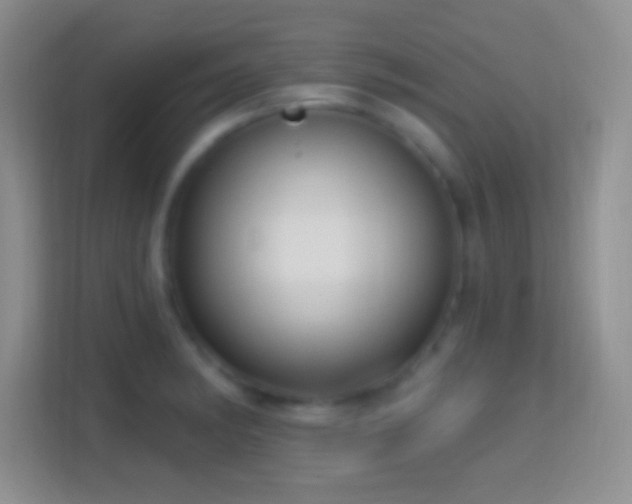 X0000114441182200910231312