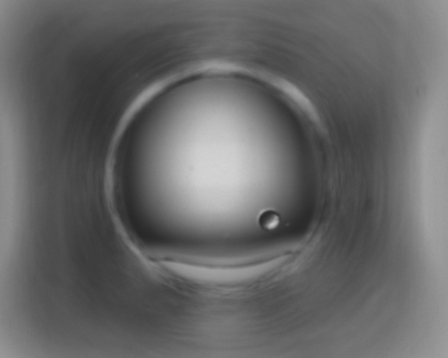 X0000114441183200910231312