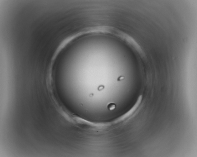 X0000114441184200910231312