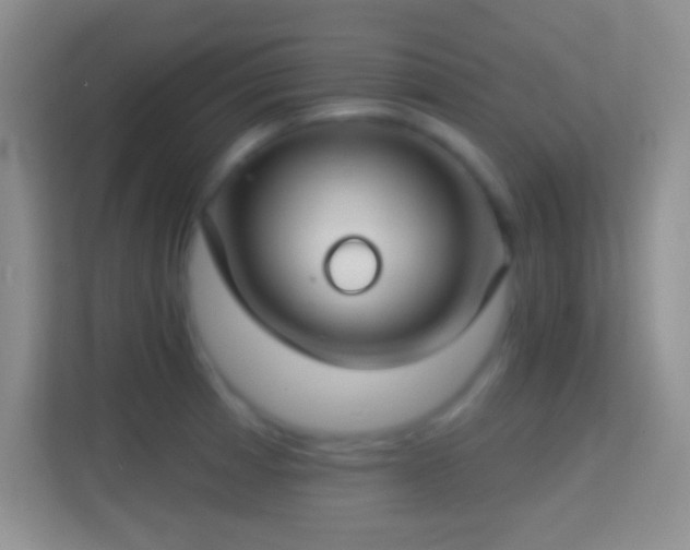 X0000114441185200910231312