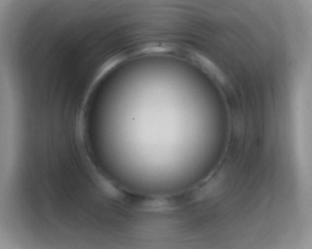 X0000114441186200910231312