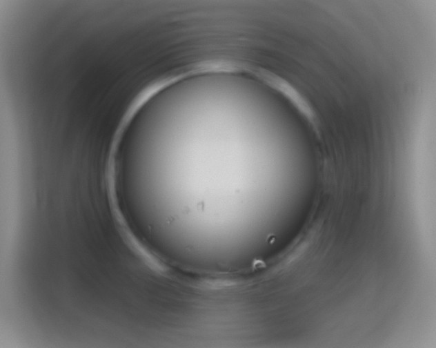 X0000114441187200910231312