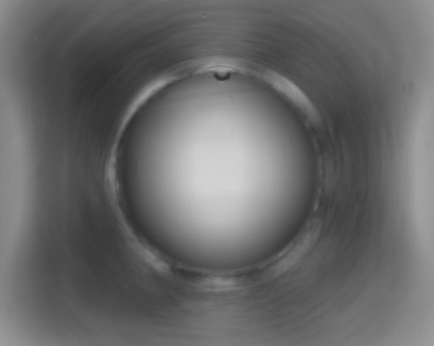 X0000114441190200910231312